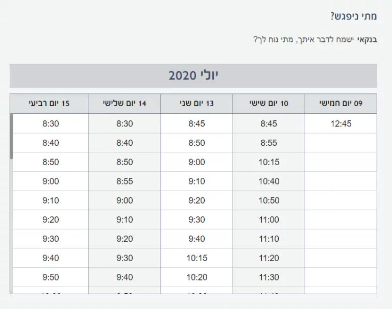 יומן פגישות עם בנקאי בנק הפועלים