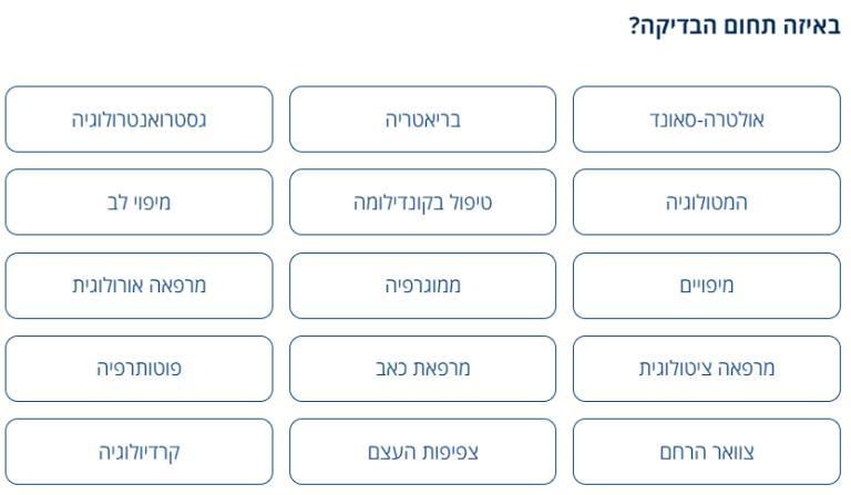 תחום הבדיקה